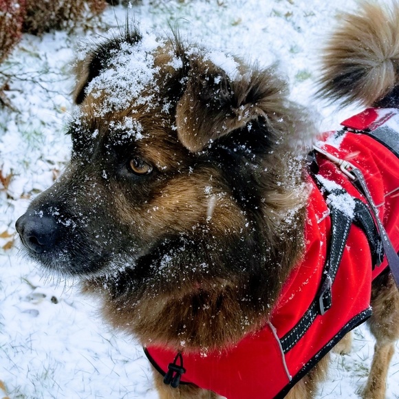 Meet your Posher, Michael - Picture 1 of 1